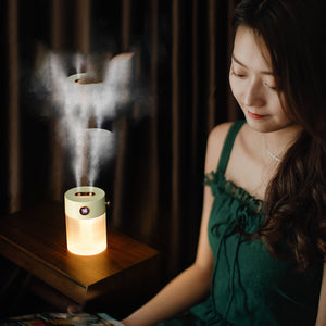 Transform Your Space with the Double Spray Humidifier